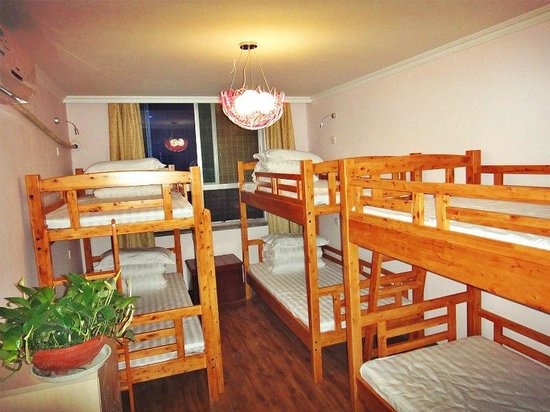 Pearl Sixer Dorm (6-Bed Dorm)